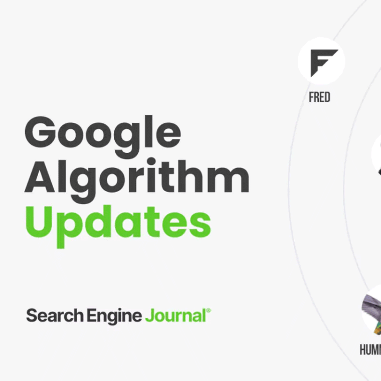 A Guide to Google SEO Algorithm Updates - Media Minds Solution